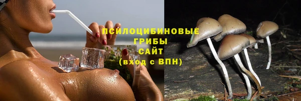 герыч Заводоуковск