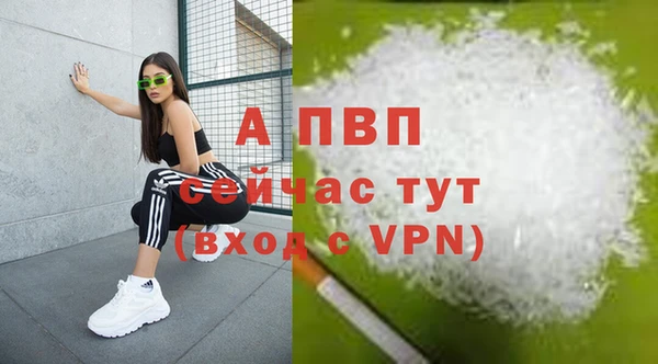 apvp Дмитриев