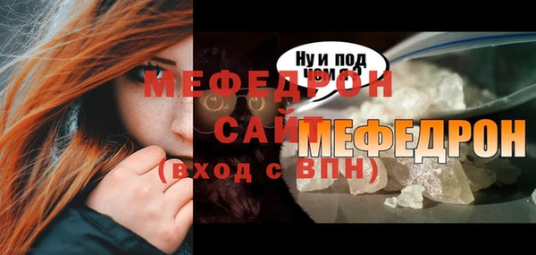 стаф Дмитров