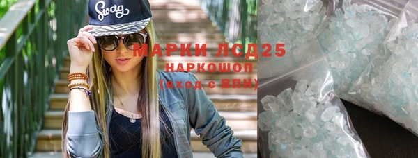 apvp Дмитриев
