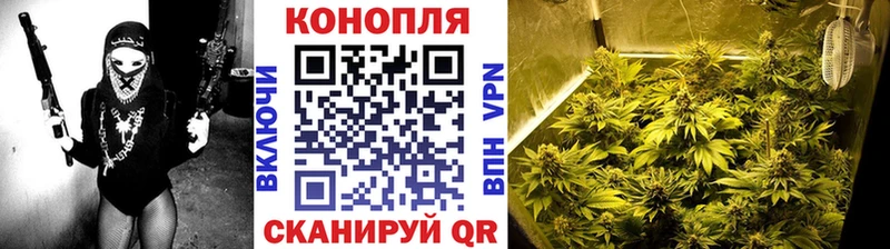 Бошки марихуана THC 21% цена наркотик Куйбышев
